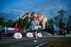 BIB: 
                            <button type="button" onclick="openModal(26541530)" class="btn btn-primary btn-sm float-right btn-popup" data-toggle="modal" data-target=".modal-high-quality">
                        <i class="fas fa-shopping-cart"></i> Add to Cart
                    </button>
                                            <button type="button" onclick="isThisMe(26541530, true)" class="btn btn-success btn-sm float-right btn-popup btn-isme hidden" data-toggle="tooltip" data-placement="bottom" title="นี่คือรูปของคุณใช่ไหม คลิกที่นี่เพื่อเอาเข้าอัลบั้ม">
                        <i class="fas fa-plus"></i> Add to album
                    </button>
                    <button type="button" onclick="isThisMe(26541530, false)" class="btn btn-warning btn-sm float-right btn-popup btn-isnotme hidden">
                        <i class="fas fa-ban"></i> Remove from album
                    </button>